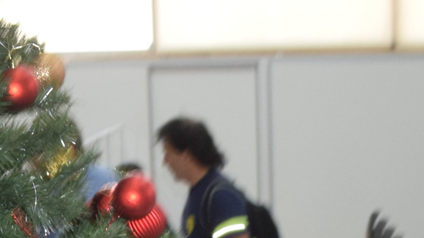 arbol muni