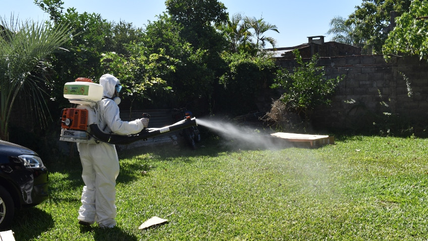 dengue