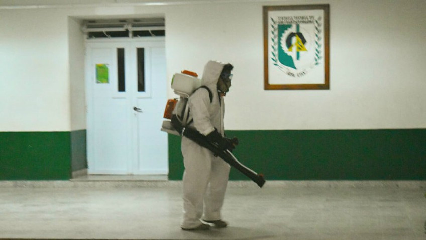 dengue
