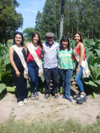 tabaco